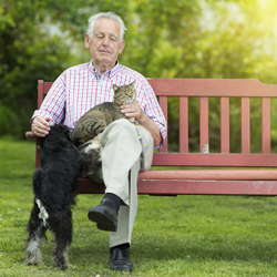 Elderly man seated on park bench with pet dog and cat