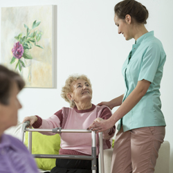 Female carer and support worker with client