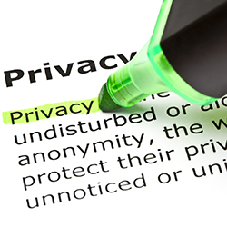 The word privacy being highlighted in green